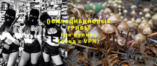 ГАЛЛЮЦИНОГЕННЫЕ ГРИБЫ Алзамай