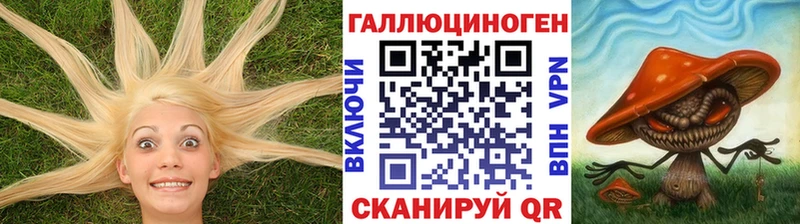 Псилоцибиновые грибы Cubensis  Лукоянов 